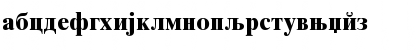 CirilicaTimesBold Regular Font CirilicaTimesBold Regular Font