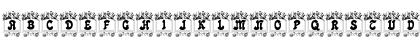 Circus train Regular Font Circus train Regular Font