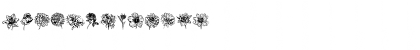 Blumen Regular Font