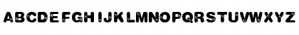 Bold Rose Regular Font