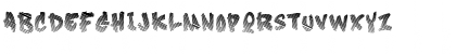 Canvas Shade Regular Font