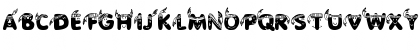 Pigmies Regular Font Pigmies Regular Font
