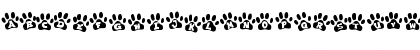 Tiger Trails Regular Font Tiger Trails Regular Font