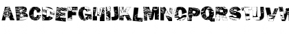 CK Postman Regular Font CK Postman Regular Font