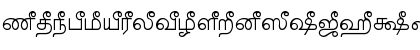 TAM_ELANGO_Barathi Normal Font