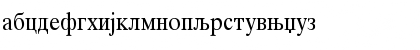 Times Cirilica Regular Font