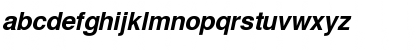 NimbusSanL Bold Italic Font