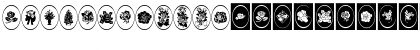 WWRosebud Regular Font WWRosebud Regular Font