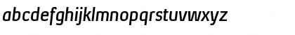 Xenu Bold Italic Font Xenu Bold Italic Font