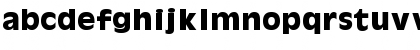 Olive Antique Bold Font Olive Antique Bold Font