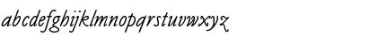 ClaudeSansItalicPlain Regular Font ClaudeSansItalicPlain Regular Font