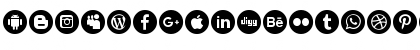 font 100 icons Regular Font