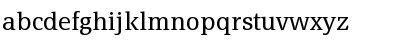 PageSerif-Light Regular Font