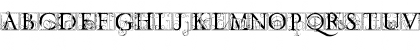 codex Regular Font