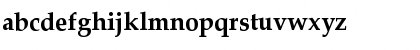 Palatino CE Bold Font