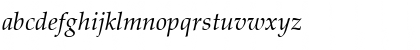 Palatino CE Italic Font