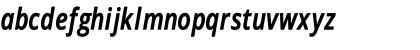 Novus-Italic Regular Font