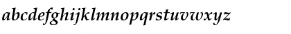 PalatinoOldStyleFigures BoldItalic Font