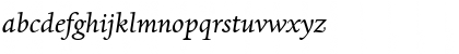 Dante eText Italic Font