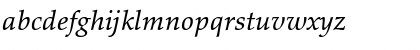 Palatino eText Italic Font Palatino eText Italic Font