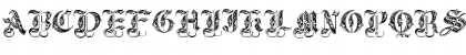 Royal Initials Regular Font
