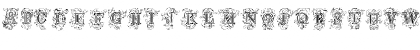Tuscani Initials Regular Font Tuscani Initials Regular Font