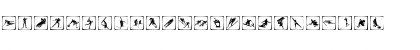 Vancouver2010 PictogramsBW Regular Font