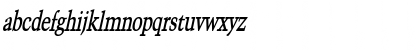 CongoThin BoldItalic Font CongoThin BoldItalic Font