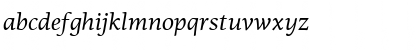 PF Agora Serif Pro Italic Font