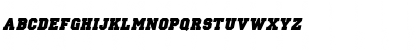 PrincetonSolid Italic Font PrincetonSolid Italic Font