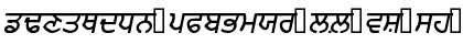 PunjabiAmritsarSSK BoldItalic Font