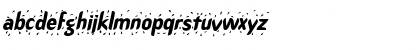 RainDanceSSK Italic Font RainDanceSSK Italic Font