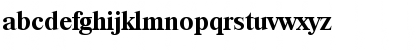 RiccioneSerial Bold Font RiccioneSerial Bold Font