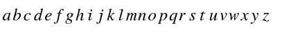 Roman Mono Italic Font