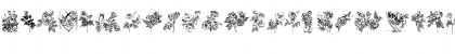 Rose Regular Font