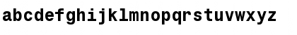 SAS Monospace Bold Regular Font