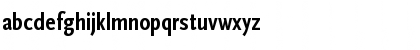 ScalaSans BoldCn Font