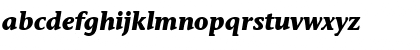 StoneInfITC Bold Italic Font