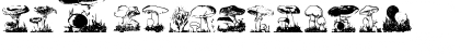 svampar Regular Font svampar Regular Font