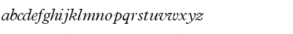 TerminusLightSSK Italic Font