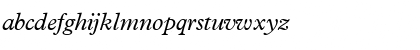 TerminusSSK Italic Font