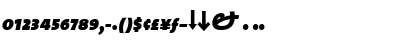 TheSans Black Italic Font TheSans Black Italic Font
