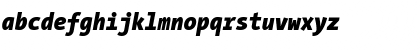 The Sans Mono Condensed- Italic Font