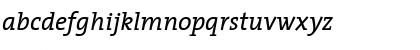 The Serif- Italic Font