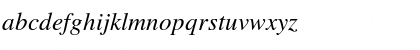 Times LT Italic Font