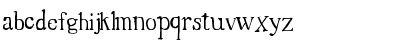 Times New Random Regular Font