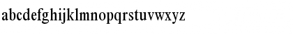 Times NR Condensed Regular Font Times NR Condensed Regular Font