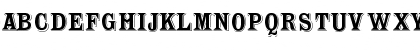 Toussant-Regular Regular Font Toussant-Regular Regular Font