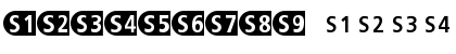 TransitLinie-S Regular Font