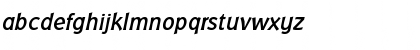 BadgerMediumItalic Roman Font BadgerMediumItalic Roman Font